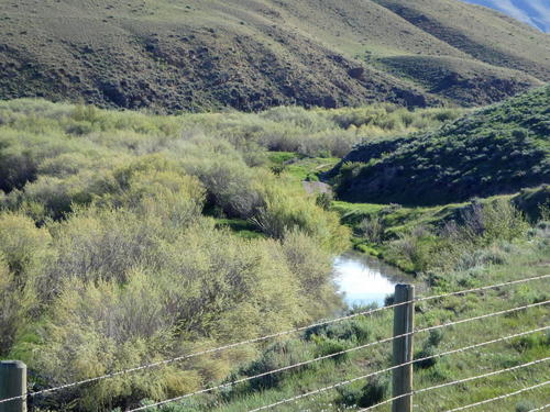GDMBR: There is a pattern in the center of the dirt road that looks like a deer.